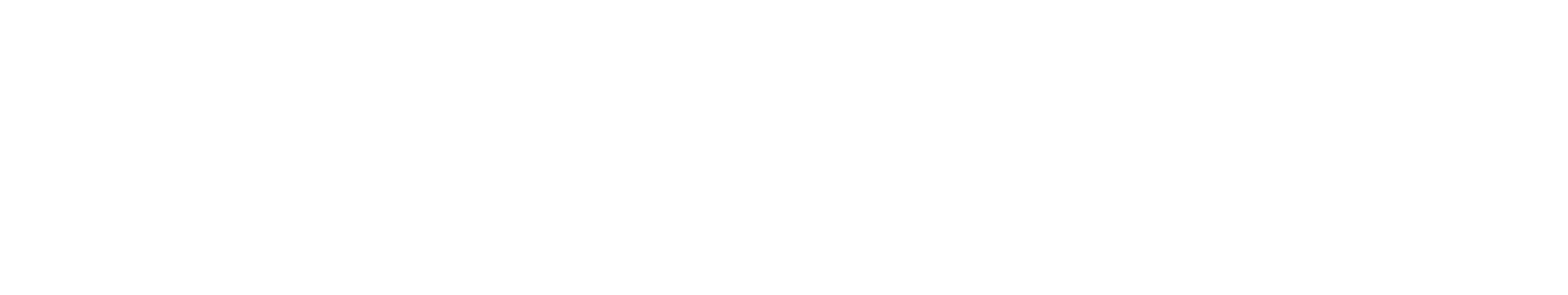 SAE University College